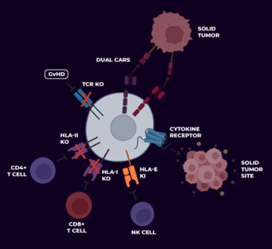 武田再度加码“被抛弃”的细胞疗法，CAR-NK或将在2029问世